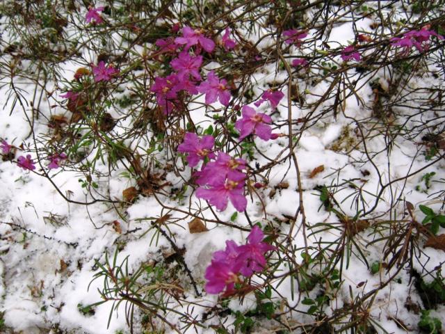 Холодное лето 2010