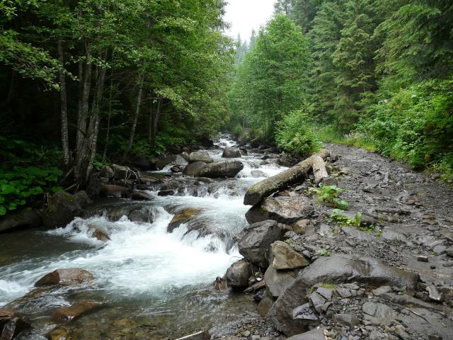 Речка в Карпатах