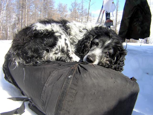 Я не устал, Я не сплю - Я рюкзак охраняю