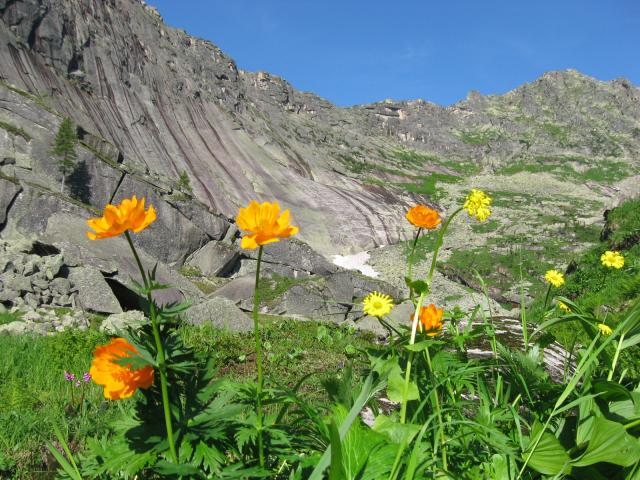 Жарки в горах