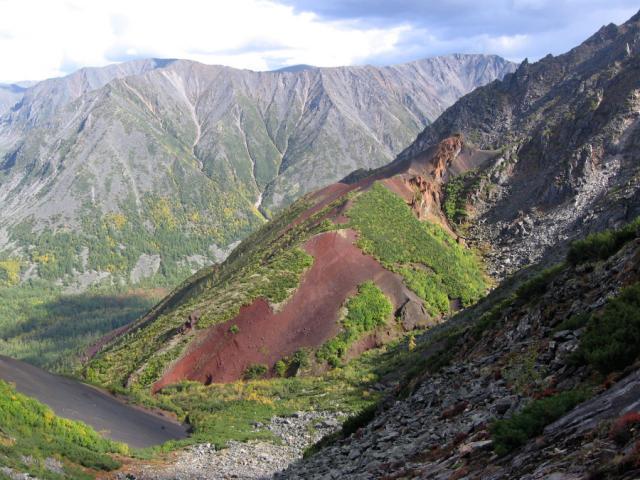 Дракоша. Влк.Сыни.