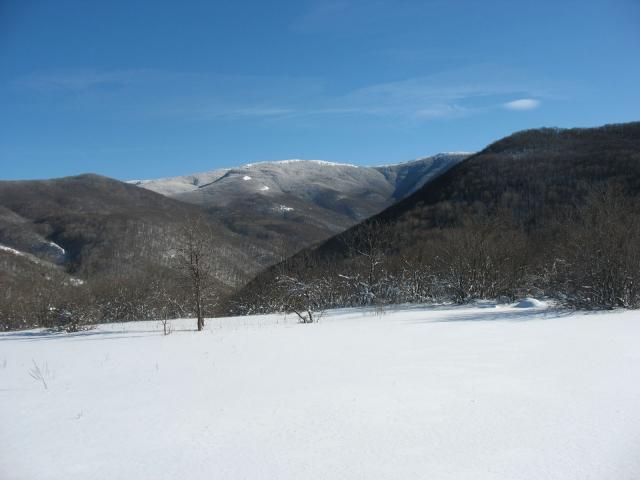 Снег и солнце Крыма.