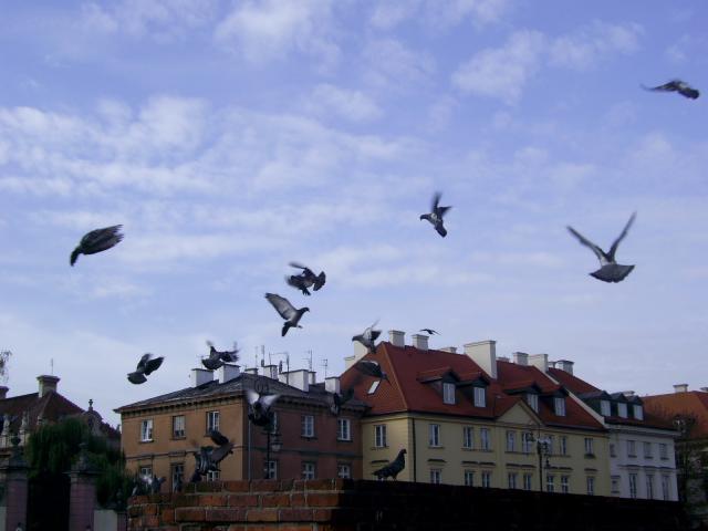 Воздушный танец. Варшава.