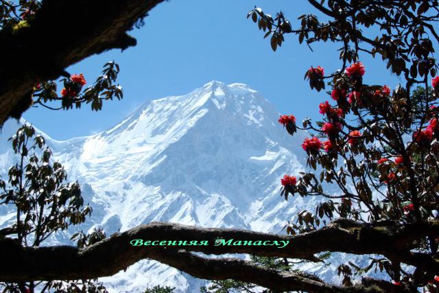 Весенняя Манаслу (Непал)